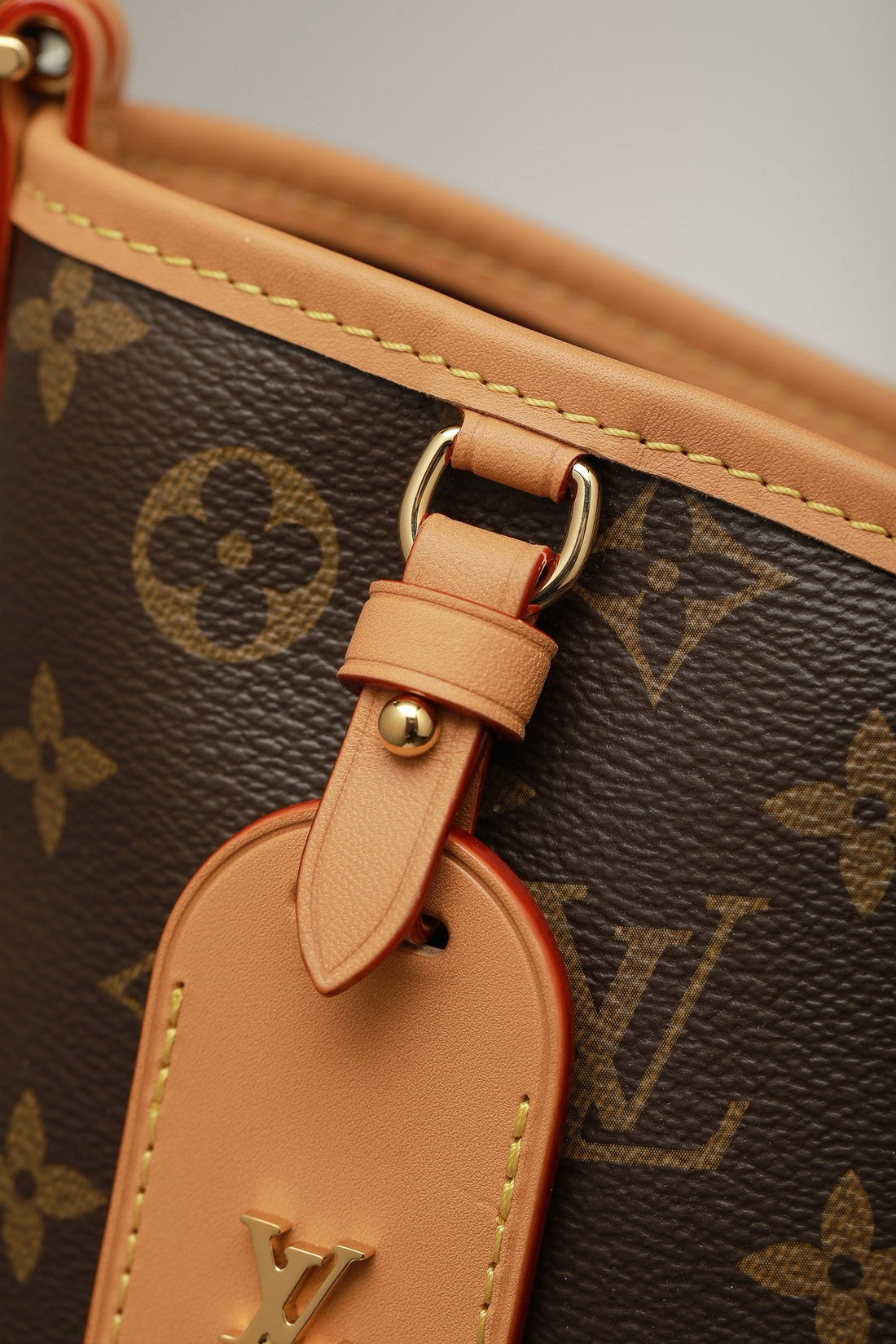 Luxury LV Carryall