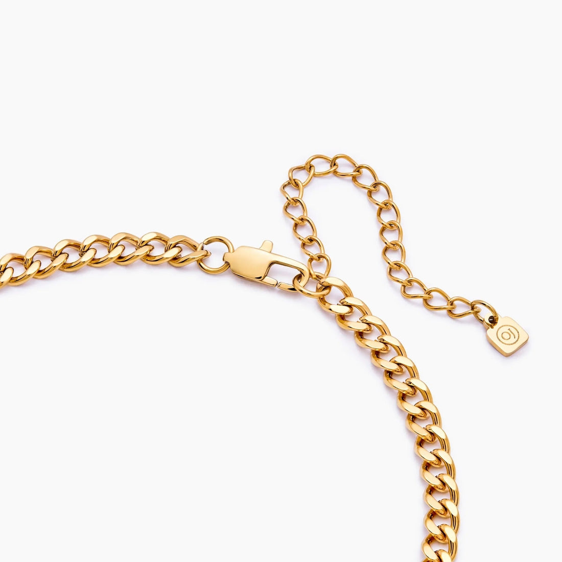 Buckle Chain Necklace